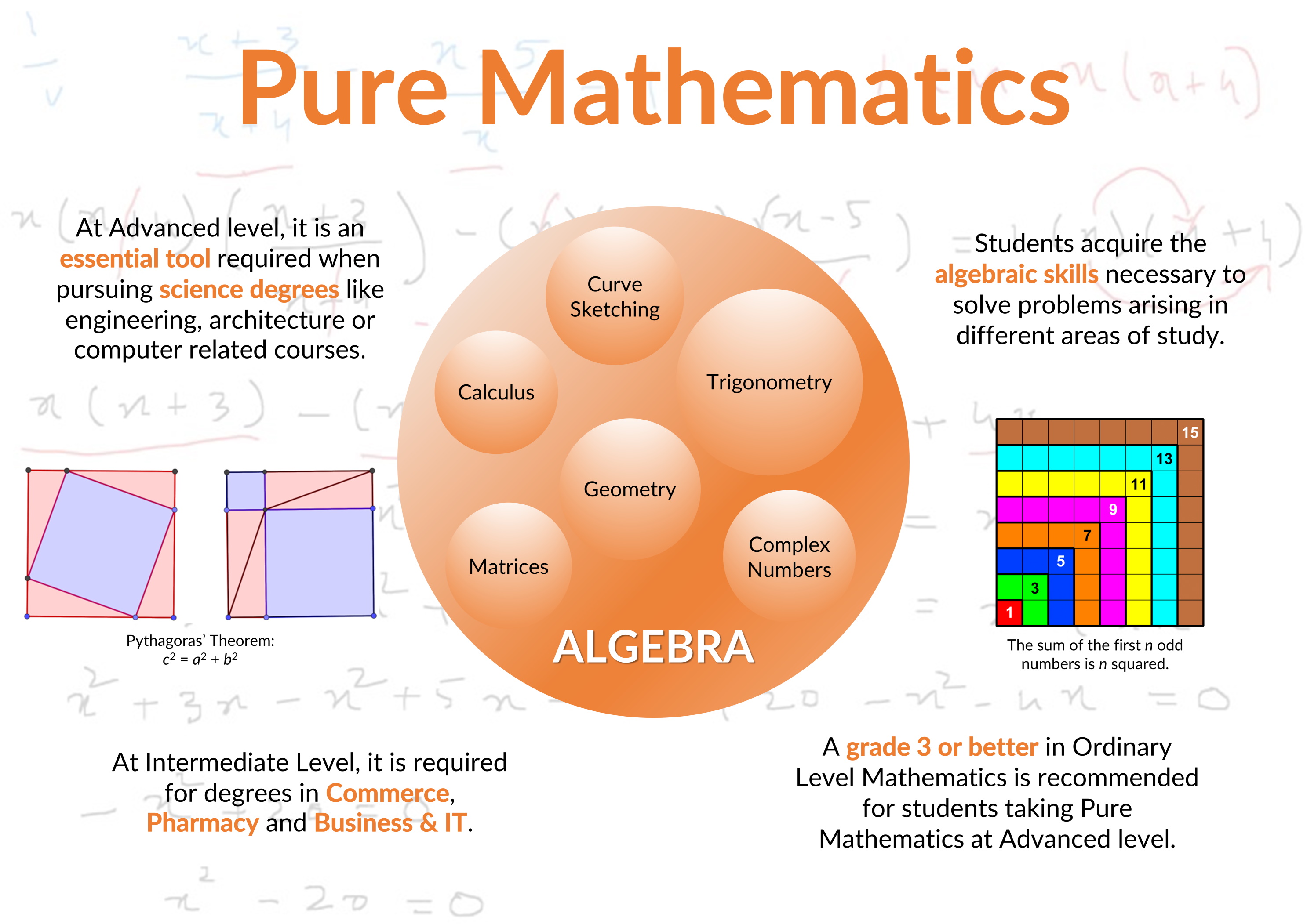 pure math phd programs