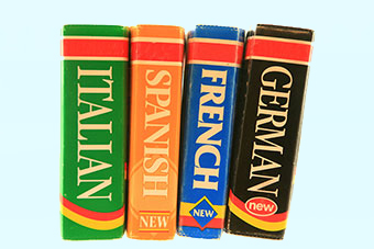 Dictionaries - French, German, Italian, Spanish