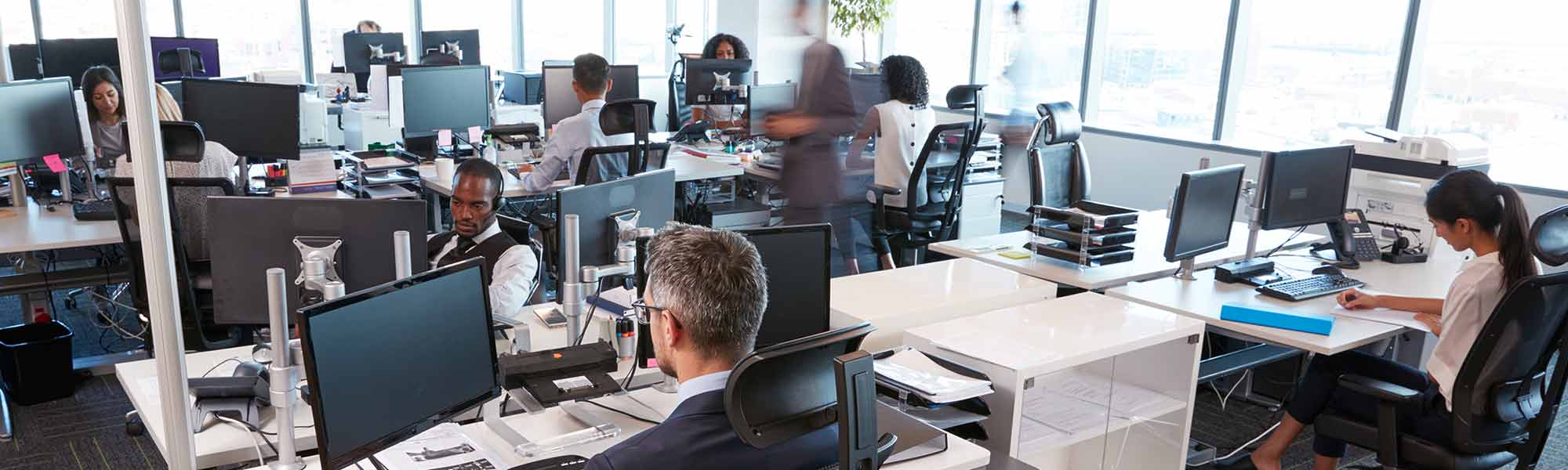 Employees in an office setting