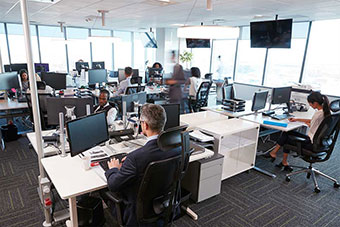 Employees in an office setting