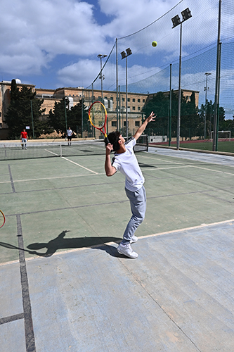 Tennis court
