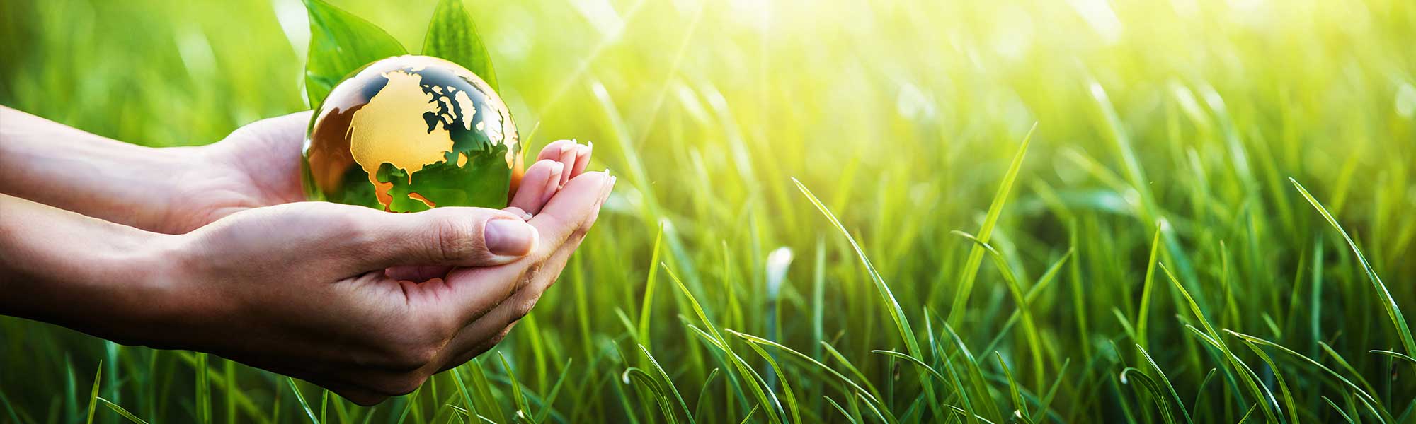 Grass, hand and globe